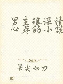 男主很深情令人心疼的小说