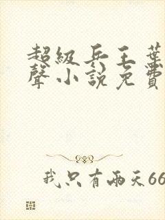 超级兵王叶谦有声小说免费收听