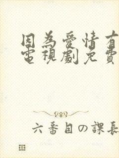 因为爱情有多美电视剧免费观看完整版