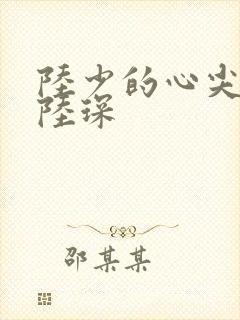 陆少的心尖宠妻陆琛