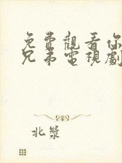 免费观看你是我兄弟电视剧