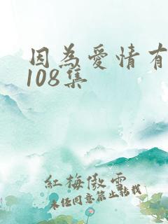 因为爱情有多美108集