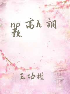 np 高h 调教