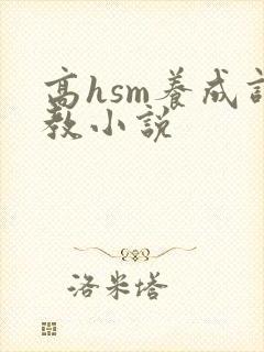 高hsm养成调教小说