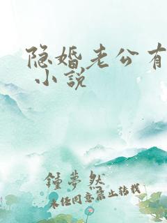 隐婚老公有点苏 小说