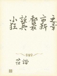 小说都市之最强狂兵最新章节