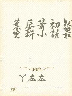 叶辰萧初然最快更新小说最新