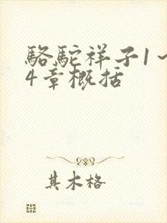 骆驼祥子1～24章概括