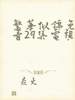 繁华似锦免费观看29集电视剧