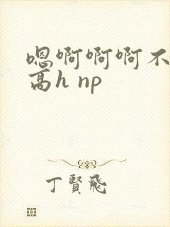 嗯啊啊啊不要啊高h np