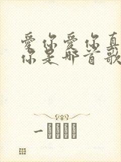 爱你爱你真的爱你是哪首歌的歌词