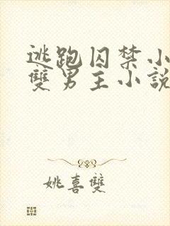 逃跑囚禁小少爷双男主小说推荐完结文