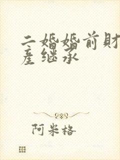 二婚婚前财产遗产继承