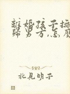 离婚孩子抚养权归男方,怎么要回