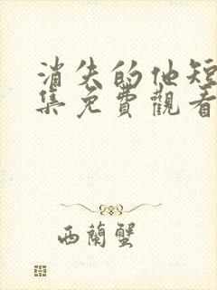 消失的他短剧全集免费观看