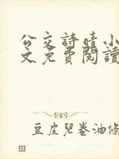 公交诗晴小说全文免费阅读