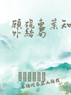 顾砚东叶知安番外结局