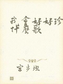 我会好好珍惜是什么歌