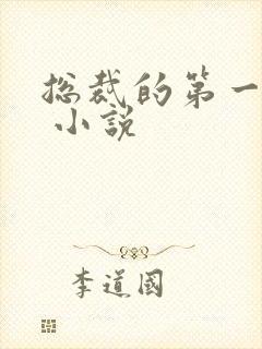 总裁的第一宠妻 小说