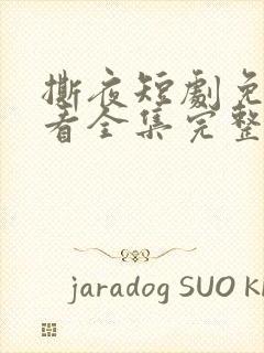 撕夜短剧免费观看全集完整