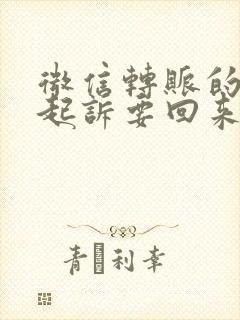 微信转账的钱能起诉要回来么