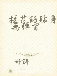 校花的贴身高手 无弹窗