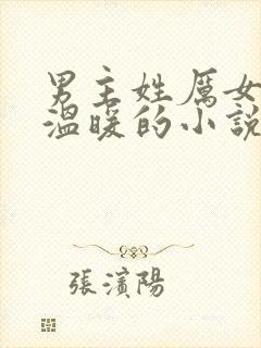 男主姓厉女主叫温暖的小说