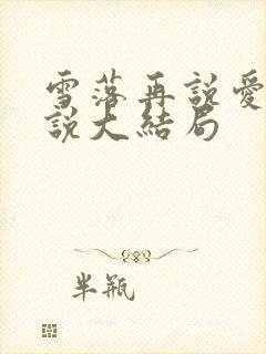 雪落再说爱你小说大结局