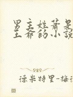 男主姓萧是战神王爷的小说