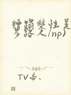 糟蹋双性美人(多路人/np)