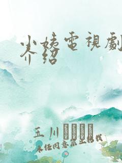 小姨电视剧剧情介绍