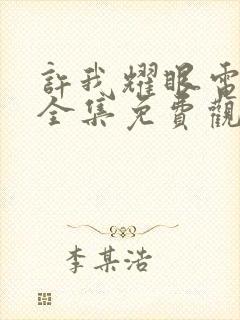 许我耀眼电视剧全集免费观看17集