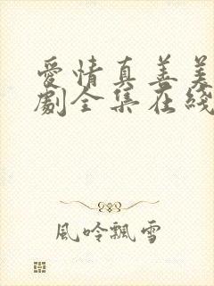 爱情真善美电视剧全集在线播放免费