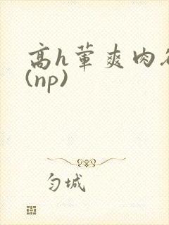 高h荤爽肉欲文(np)
