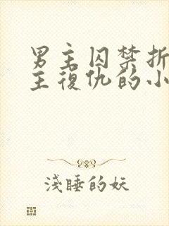 男主囚禁折磨女主复仇的小说