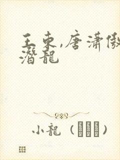 王东,唐潇傲世潜龙