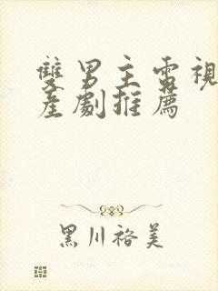 双男主电视剧国产剧推荐