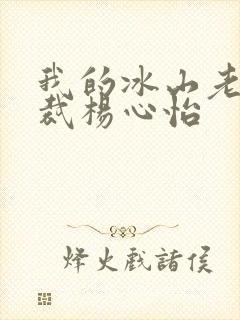 我的冰山老婆总裁杨心怡