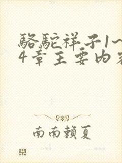 骆驼祥子1~24章主要内容