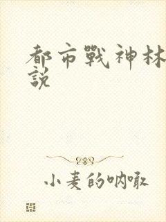 都市战神林北小说