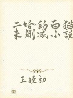 二哈的白猫师尊未删减小说