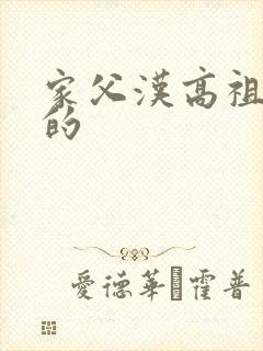 家父汉高祖小说的