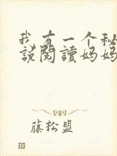 我有一个秘密小说阅读妈妈小说下载