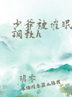 少爷被催眠玩弄调教h