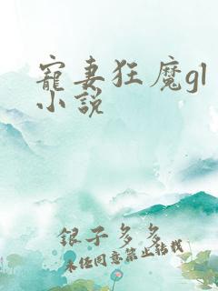 宠妻狂魔gl 小说