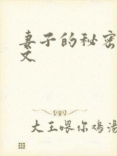 妻子的秘密3中文