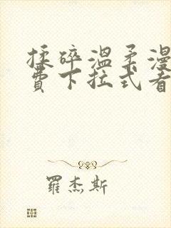 揉碎温柔漫画免费下拉式看漫画最新章节