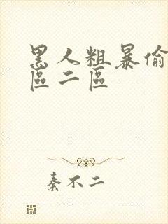 黑人粗暴偷拍一区二区