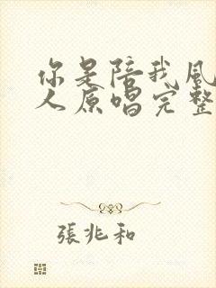 你是陪我风雨的人原唱完整版