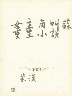 女主角叫苏婉的重生小说